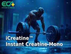 iCreatine™ Instant Creatine Mono