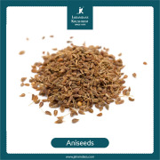 Aniseed