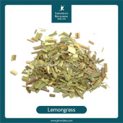 Lemongrass | Cymbopogon Citratus
