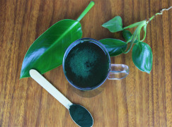 Organic Spirulina Powder