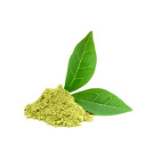 Green tea extract