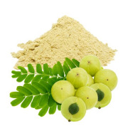 Phyllanthus emblica (Amla powder)