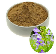 Chasteberry extract