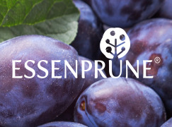 ESSENPRUNE®  Fermented Prunus domestica