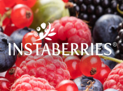 INSTABERRIES® Fermented Mixed-Berries