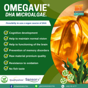 OmegaVie® DHA (Algae oils)