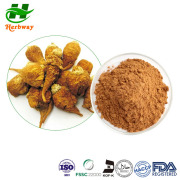 Maca Root Extract