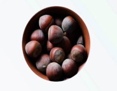 Hazelnut Oil