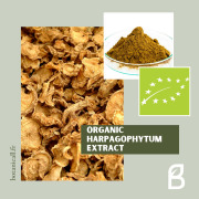 Harpagophytum extract