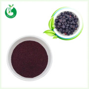 Freeze Dried Blueberry Powder