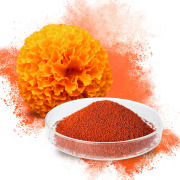 MaQxan : Clinically Valitated Premium Quality Marigold Extract