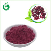 Hibiscus Powder