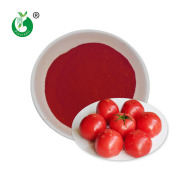 Lycopene Powder