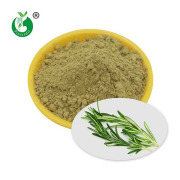 Rosemary Extract