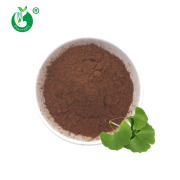 Ginkgo Biloba Leaf Extract