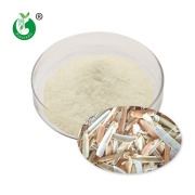 Chitosan Powder