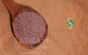 Psyllium Seed