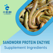 Sandworm Protein Enzyme