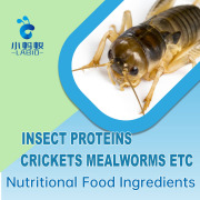 Insect Protein Mealworms Crickets Silkworm Pupae Food Grade