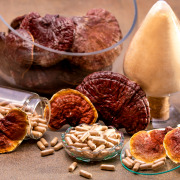 Reishi (Ganoderma lucidum) Extract