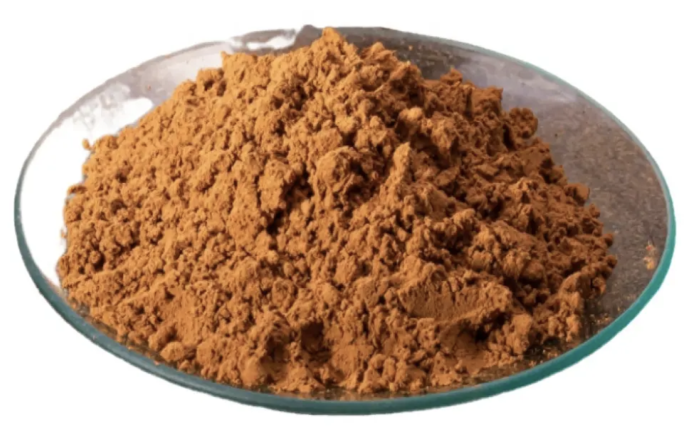 Antrodia Camphorata Extract