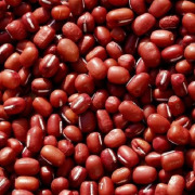 Red Cowpea