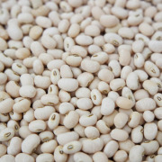 White Cowpea