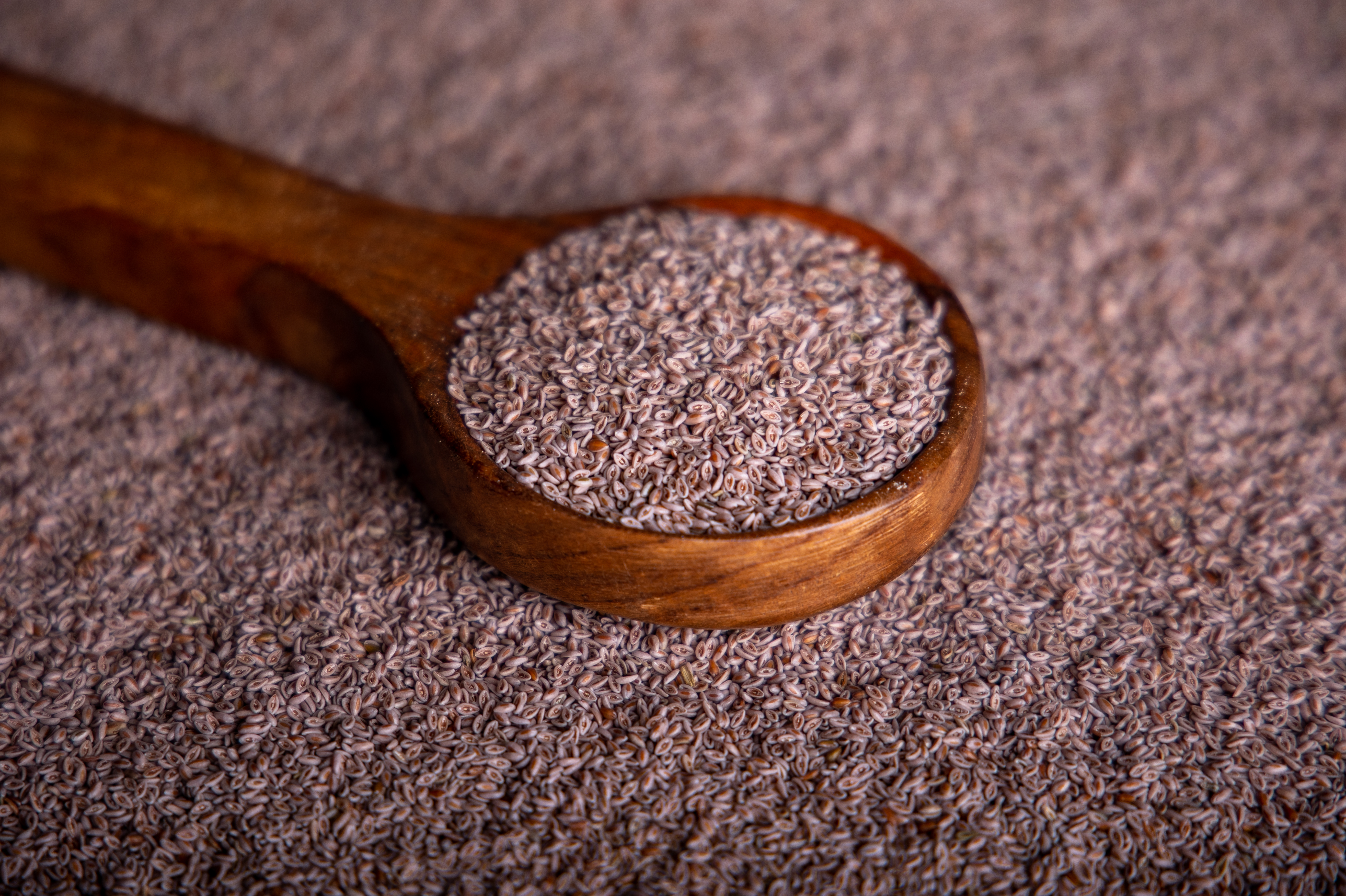 Psyllium Seeds