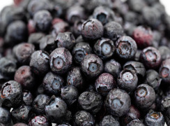 Freeze Dried  Blueberry