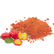 Organic Acerola Powder