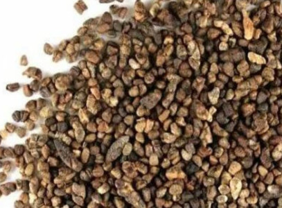 Cardamom Seeds