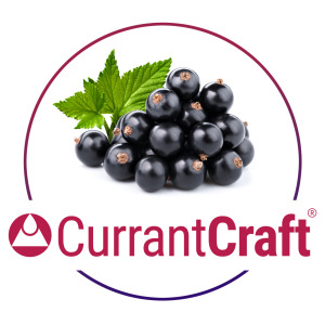 CurrantCraft® EUROPEAN BLACK CURRANT EXTRACT