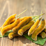 BioDopa : Mucuna Extract