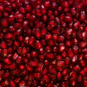 Pomegranate Extract