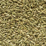 Fennel Extract