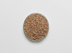 Durum Wheat peeled