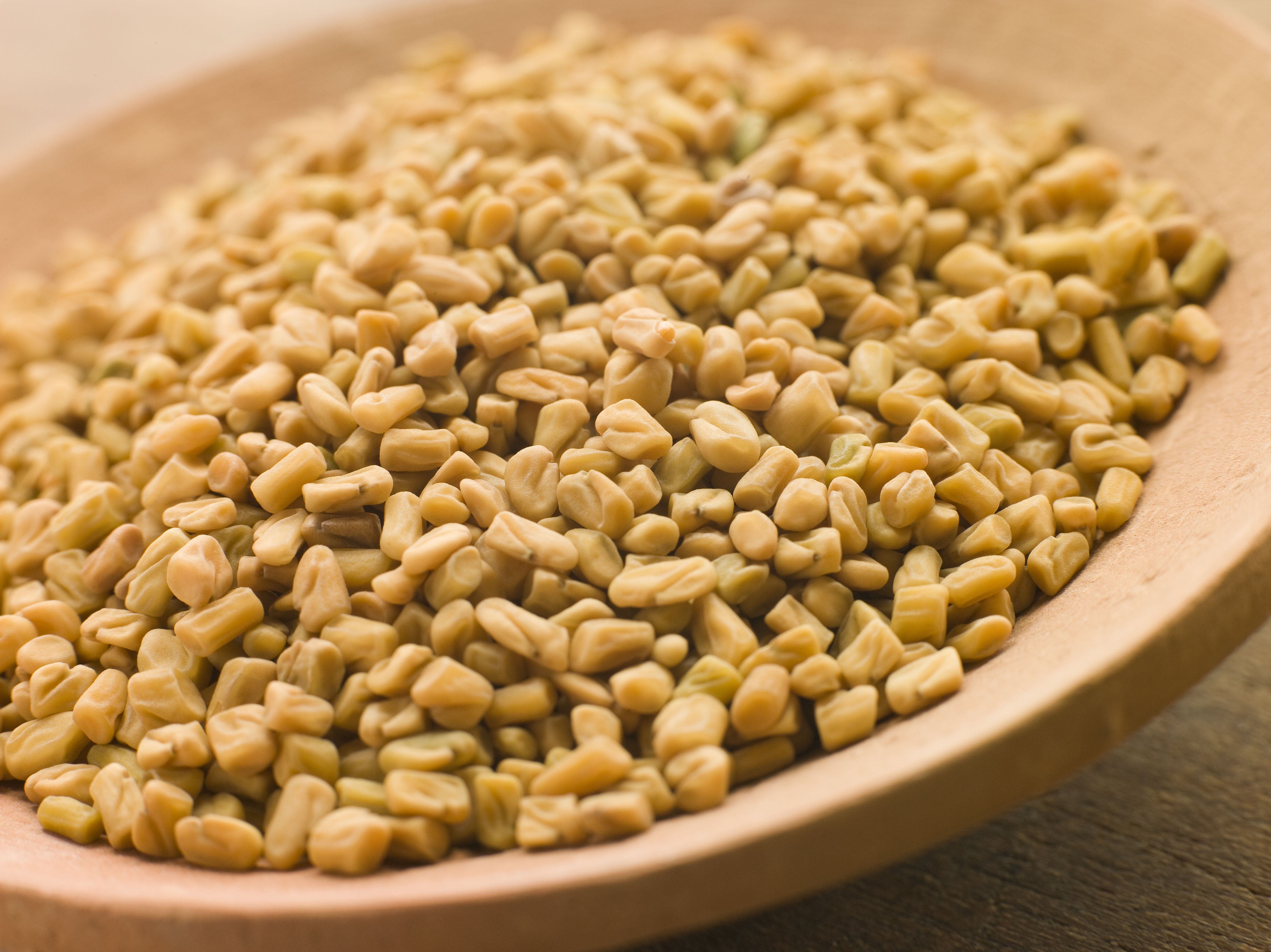 Fenugreek Seed Oil, Fenugreek Seed Oil Supplier, Fenugreek Seed Oil Manufacturer, Fenugreek Seed Oil Exporter