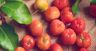 Acerola de berry 8% vitamin c - pr4400