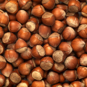 Inshell Hazelnut