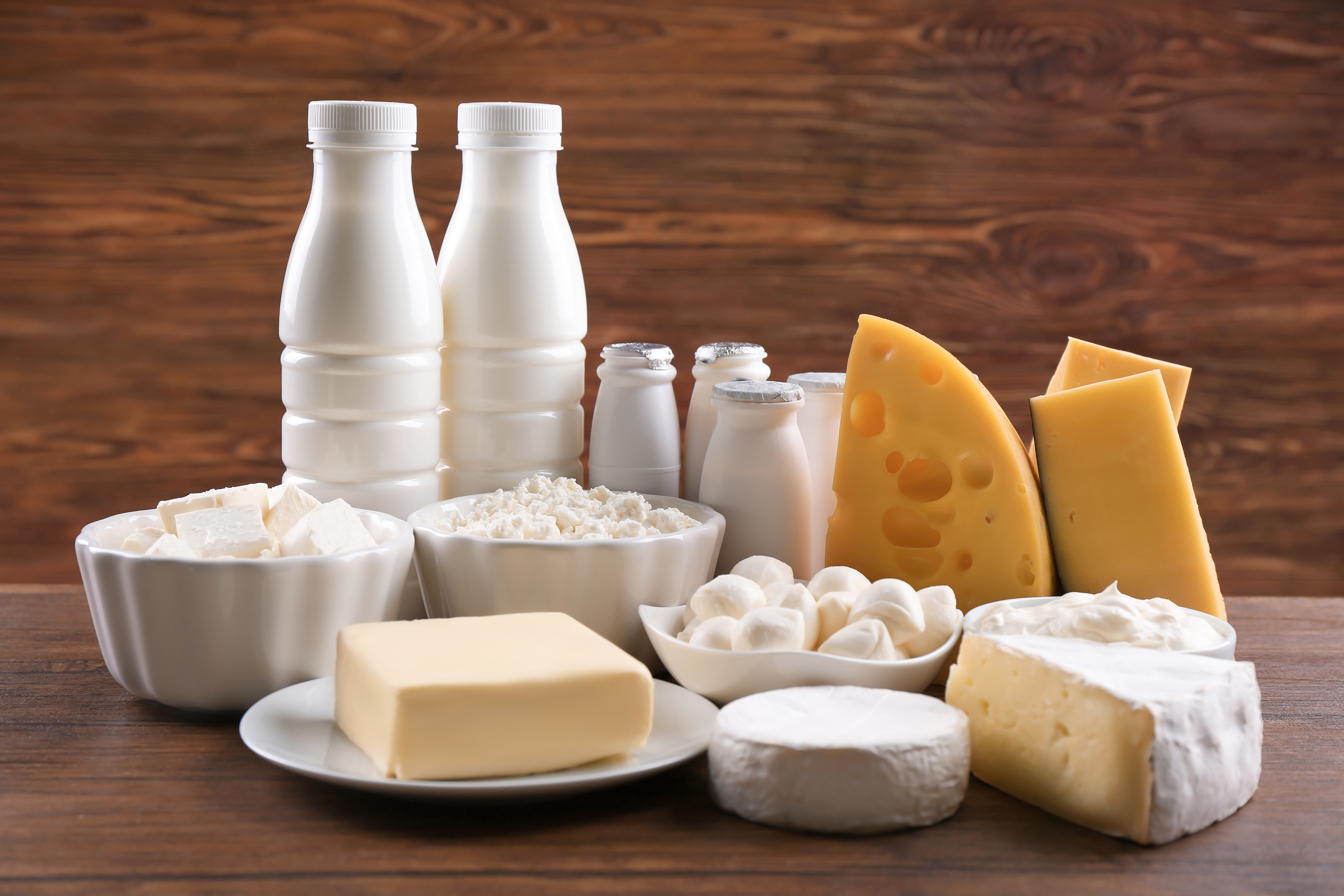 MILK-O® for Dairy Processing and Prevention