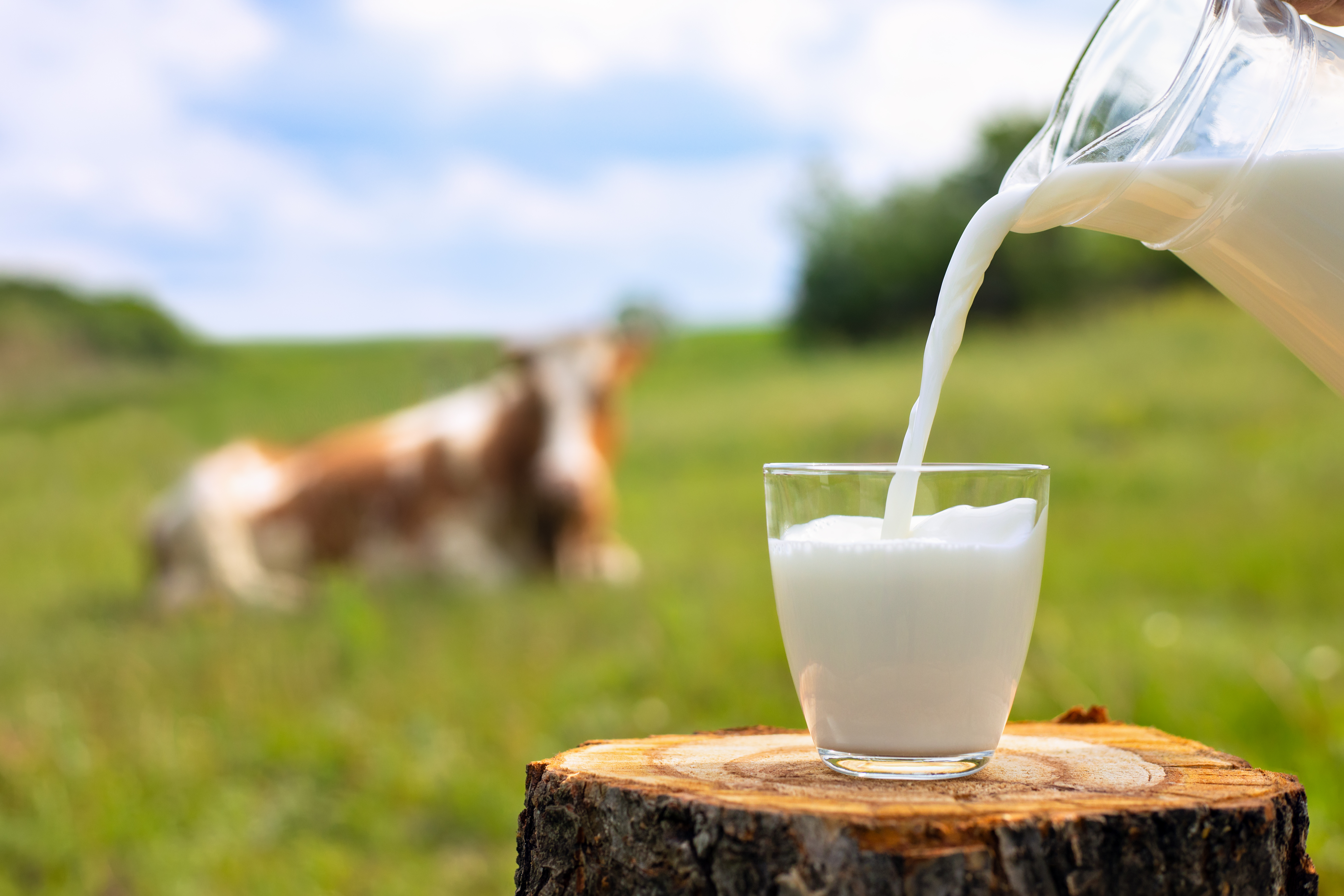 MILK-O®-LAC for Lactose-Free Dairy Production