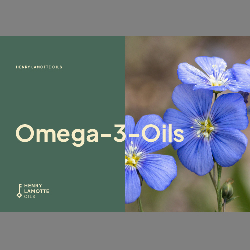 Omega-3 Oils - Ingredients with additional benefit Oils