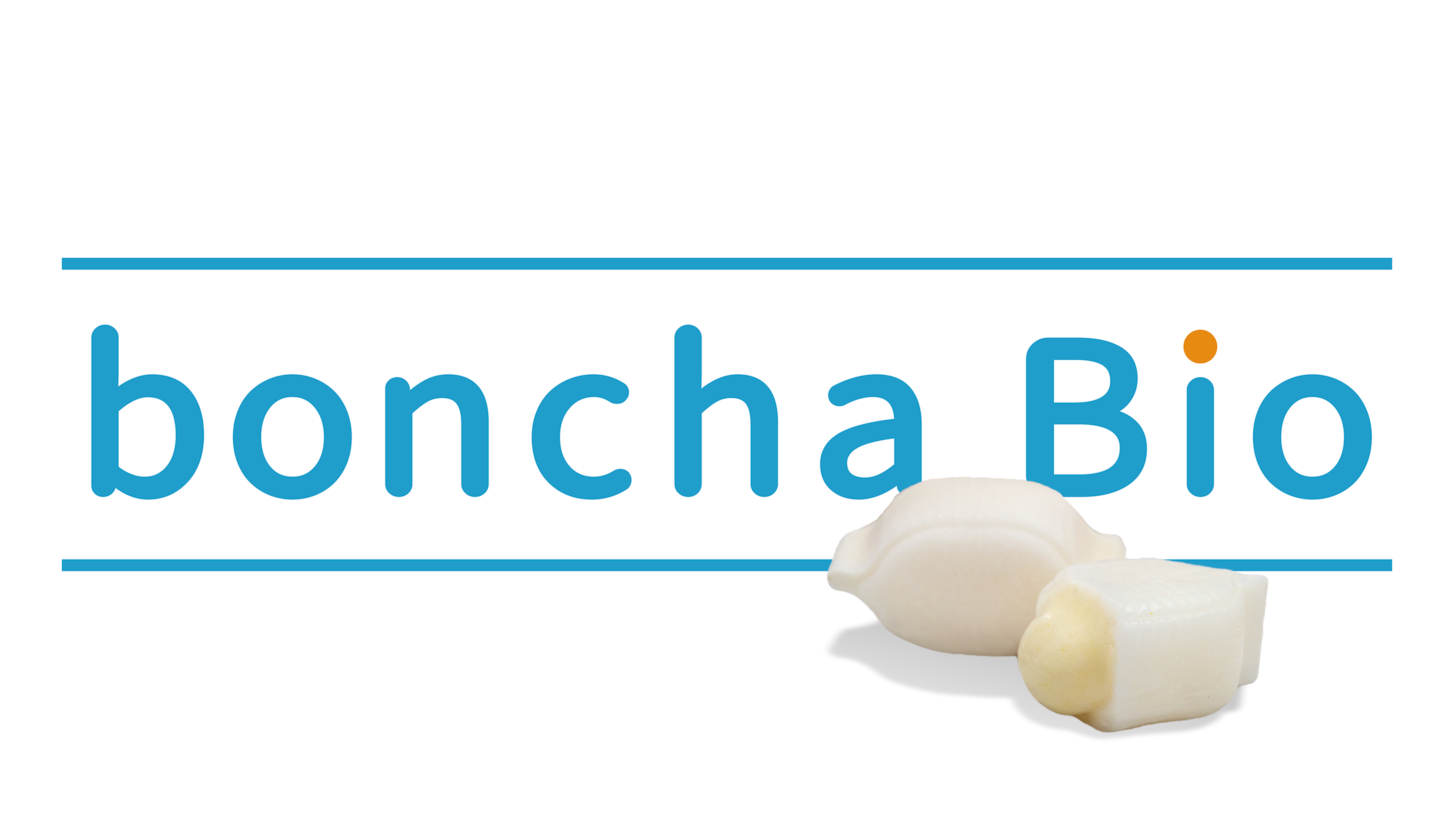 BONCHA BONCHA INTERNATIONAL COMPANY LIMITED