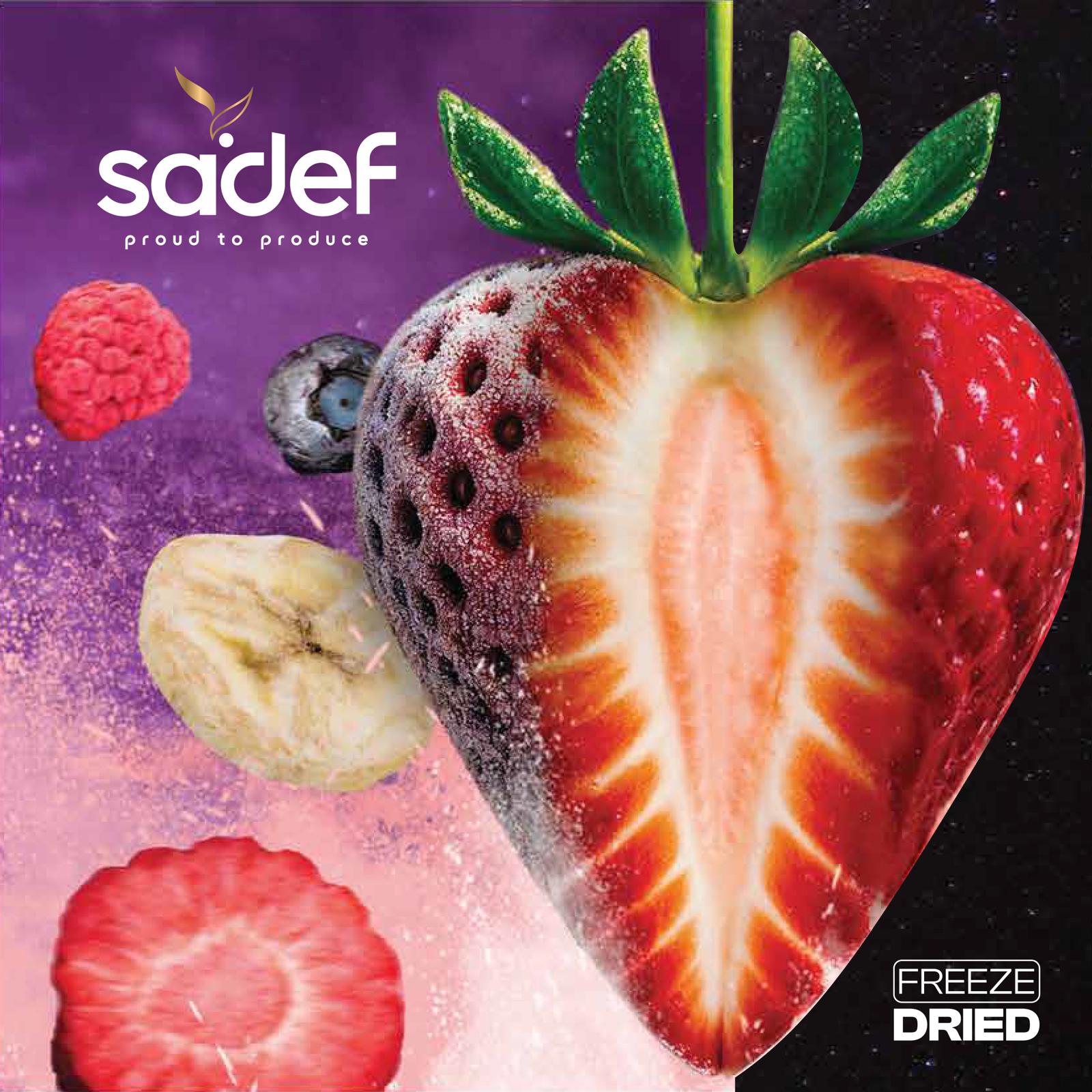 Sadef Gıda: Elevating Food Standards with Freeze-Dried Excellence