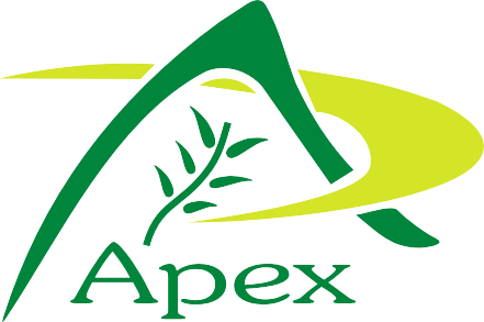 Apex International