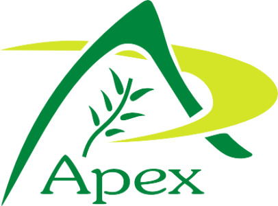 Apex International