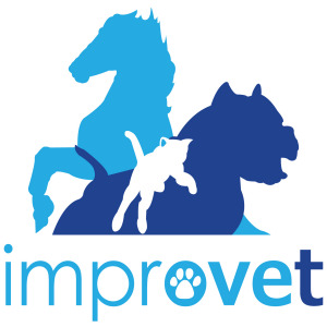 Improvet  srl