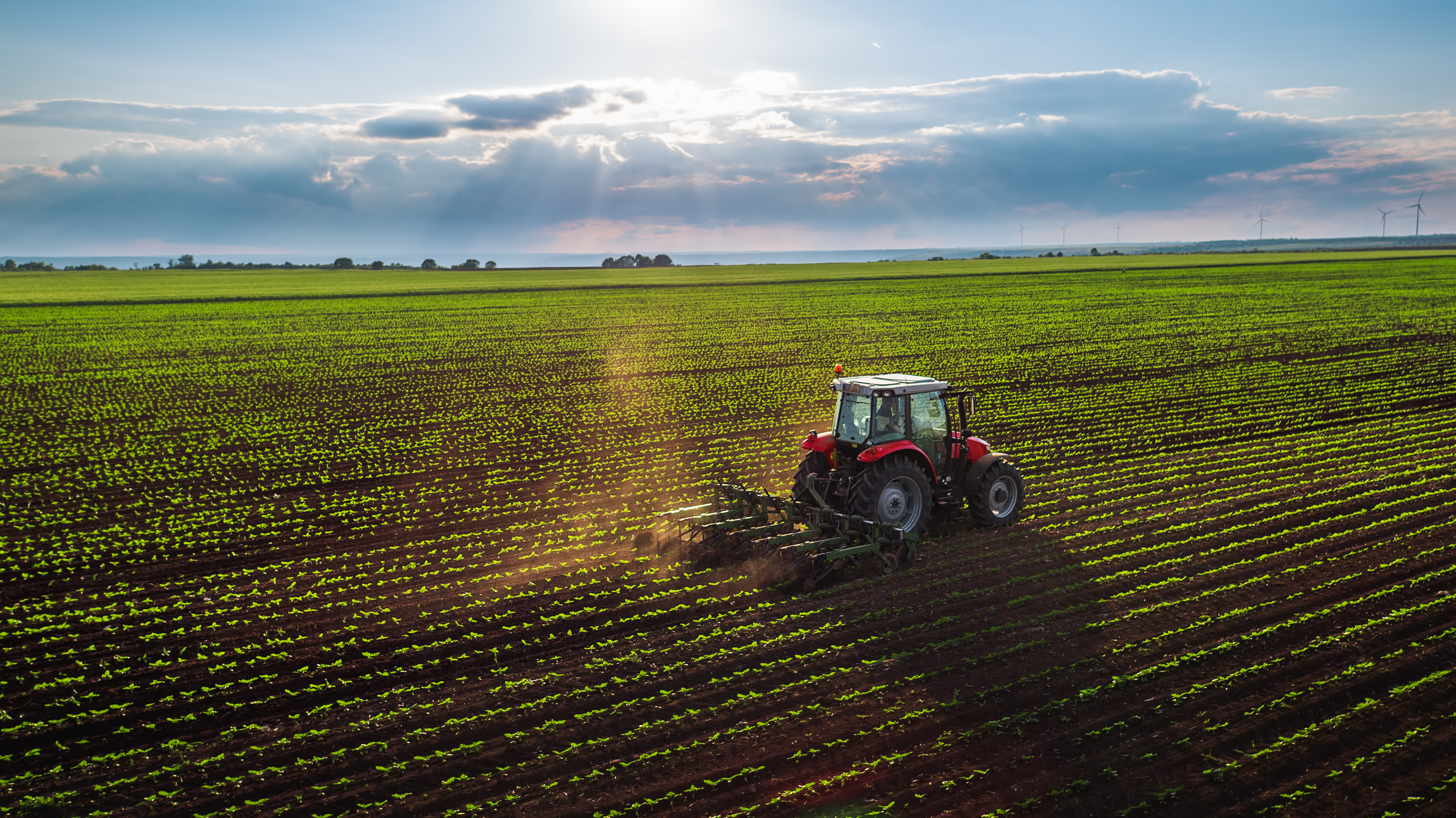 Value-Added Agriculture in Canada