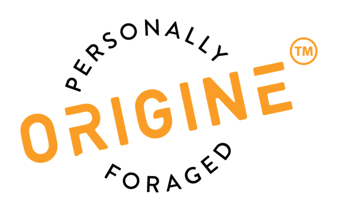 ORIGINE SRL