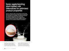 Spray agglomerating plant-based milk alternatives for optimised product properties